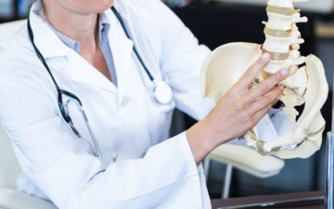 Por que a coluna vertebral é a base?